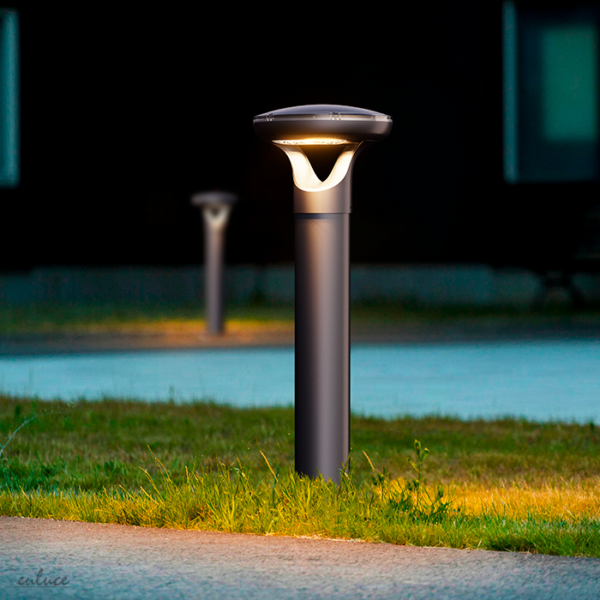 fungus-solis-ambiente-600×600